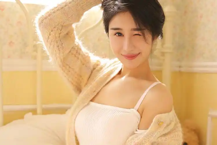 动画番剧